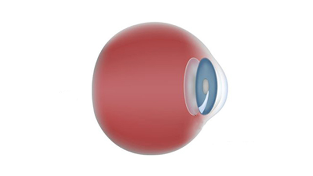 Pediatric Eye Care Bellefonte